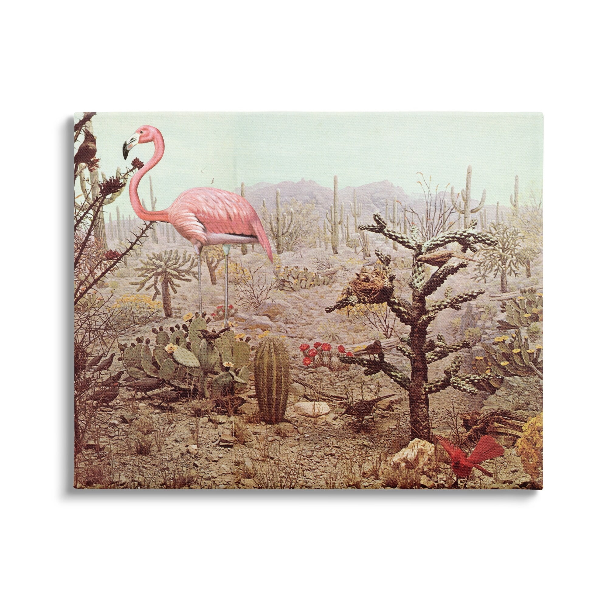 Stupell Industries Collaged Flamingo Desert Cactus Wildlife Scene Canvas Wall Art, 48 x 36, Design by Cassia Beck