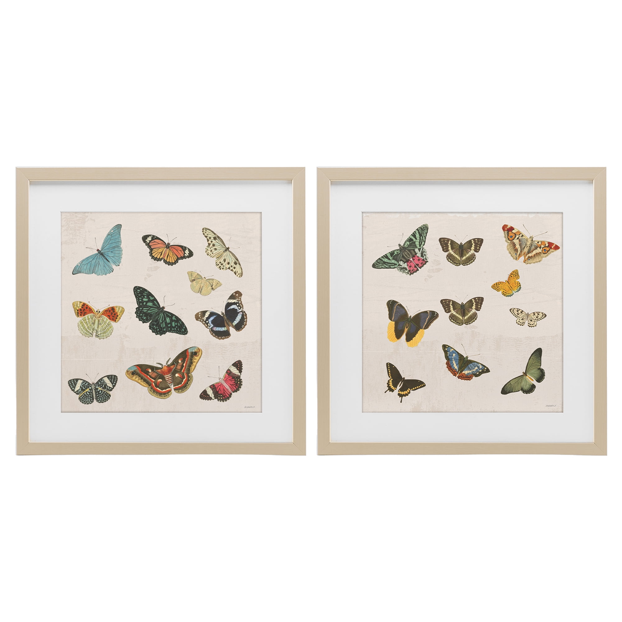 Stupell Industries Collection of Vintage Butterflies 2 Piece Birch Framed Print Under Glass Set, design by Dan Meneely
