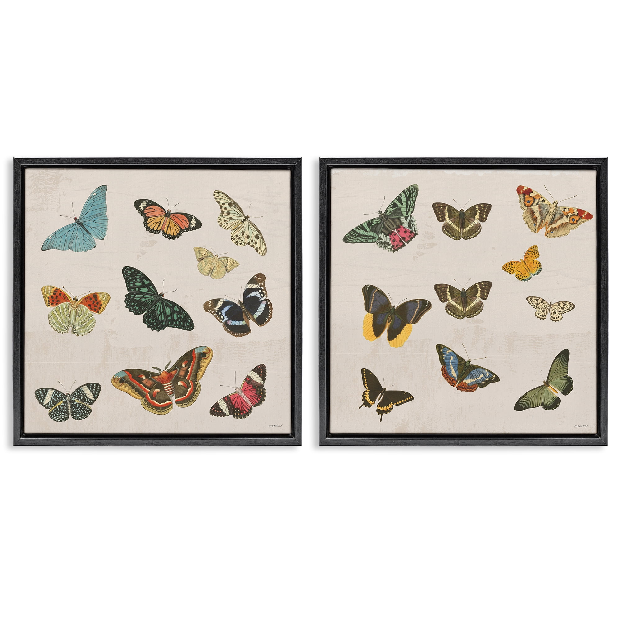 Stupell Industries Collection of Vintage Butterflies 2 Piece Black Framed Floater Canvas Set, design by Dan Meneely