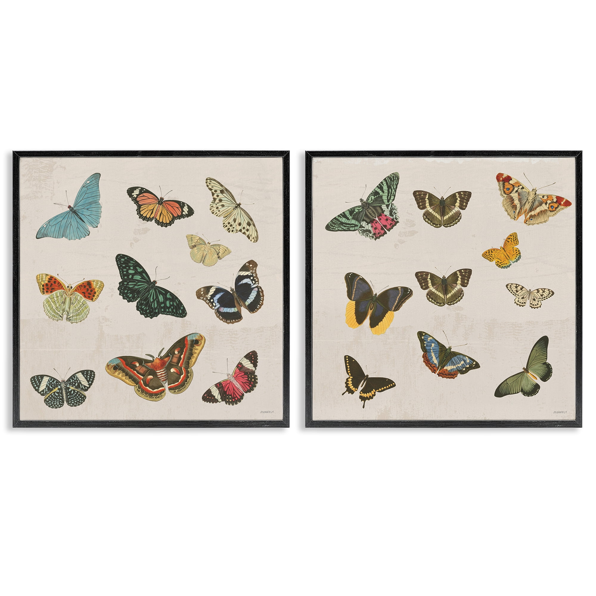 Stupell Industries Collection of Vintage Butterflies 2 Piece Black Framed Giclee Art Set, design by Dan Meneely