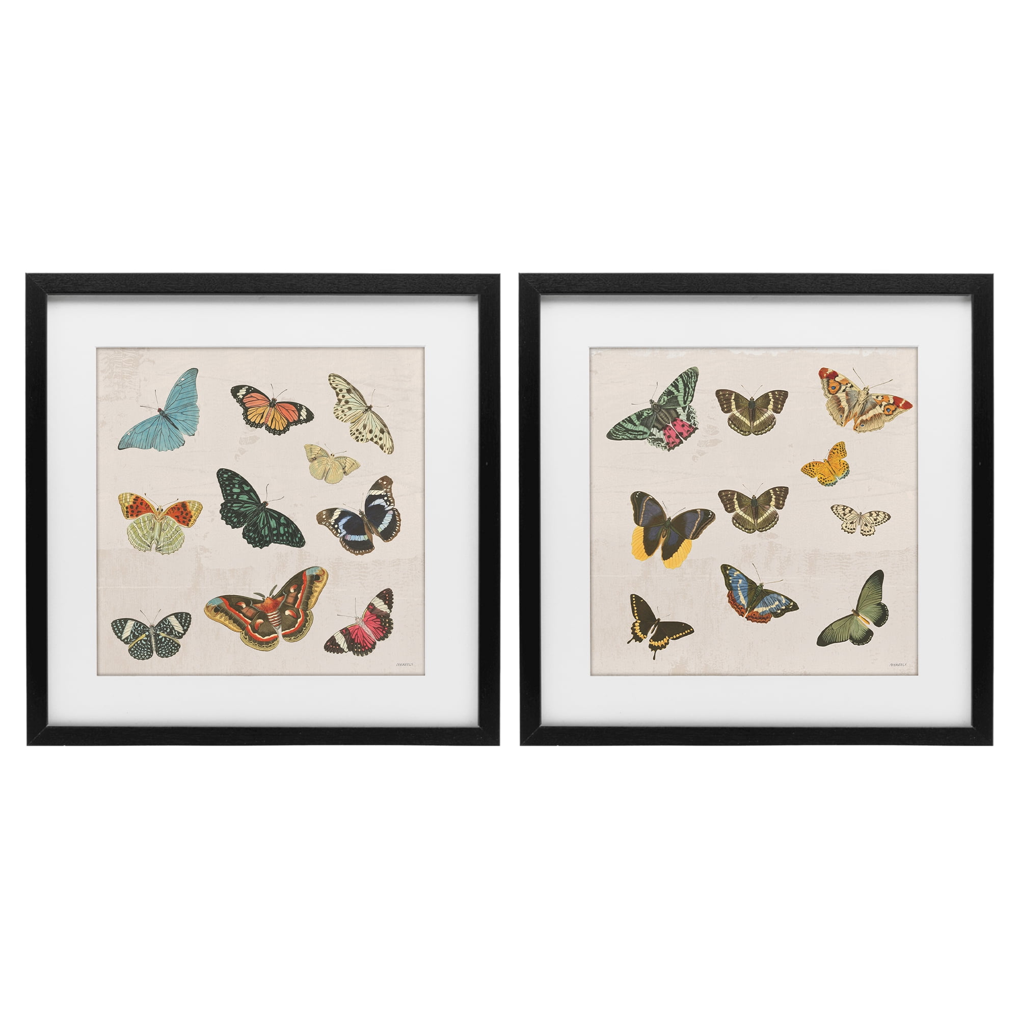 Stupell Industries Collection of Vintage Butterflies 2 Piece Black Framed Print Under Glass Set, design by Dan Meneely