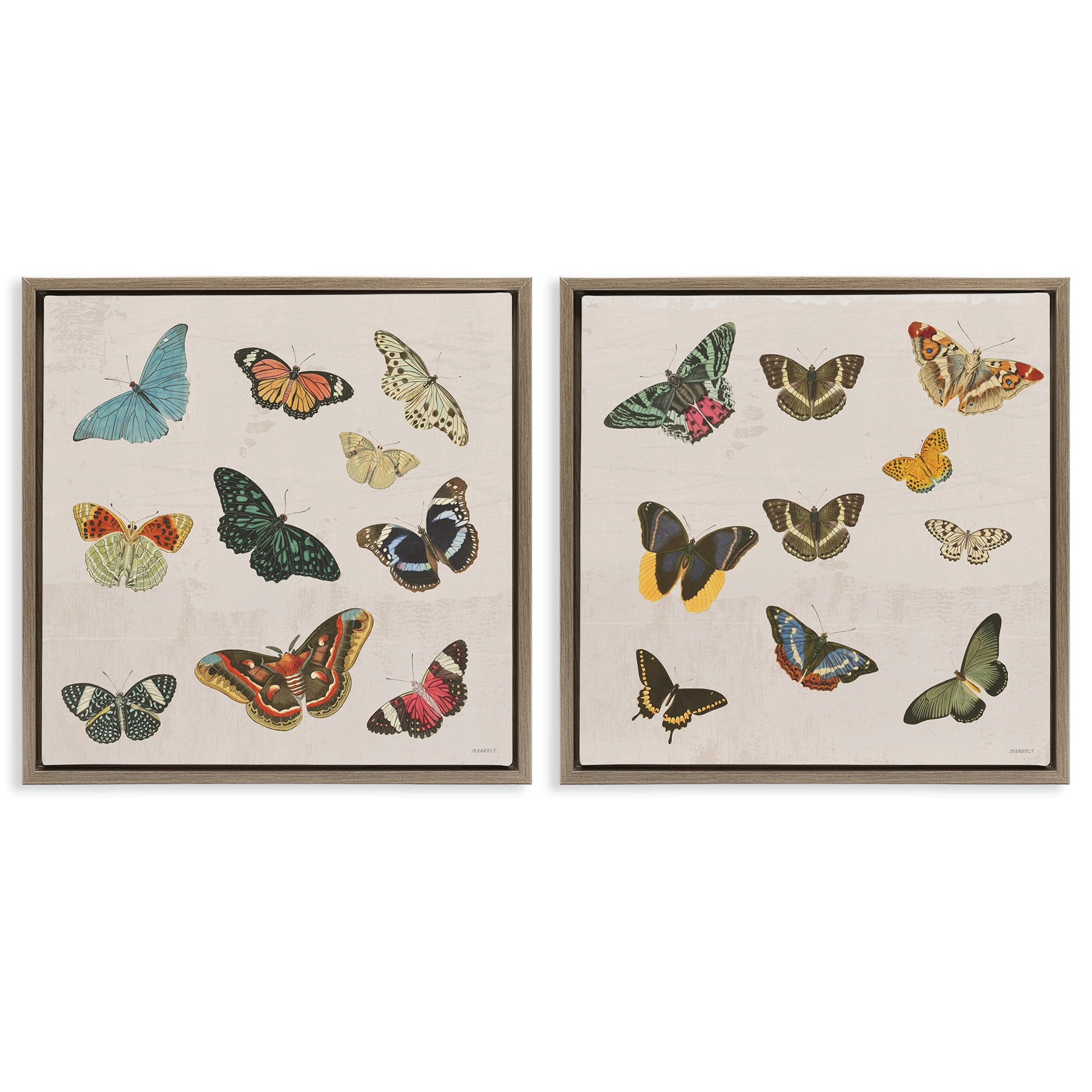 Stupell Industries Collection of Vintage Butterflies 2 Piece Brown Framed Floater Canvas Set, design by Dan Meneely