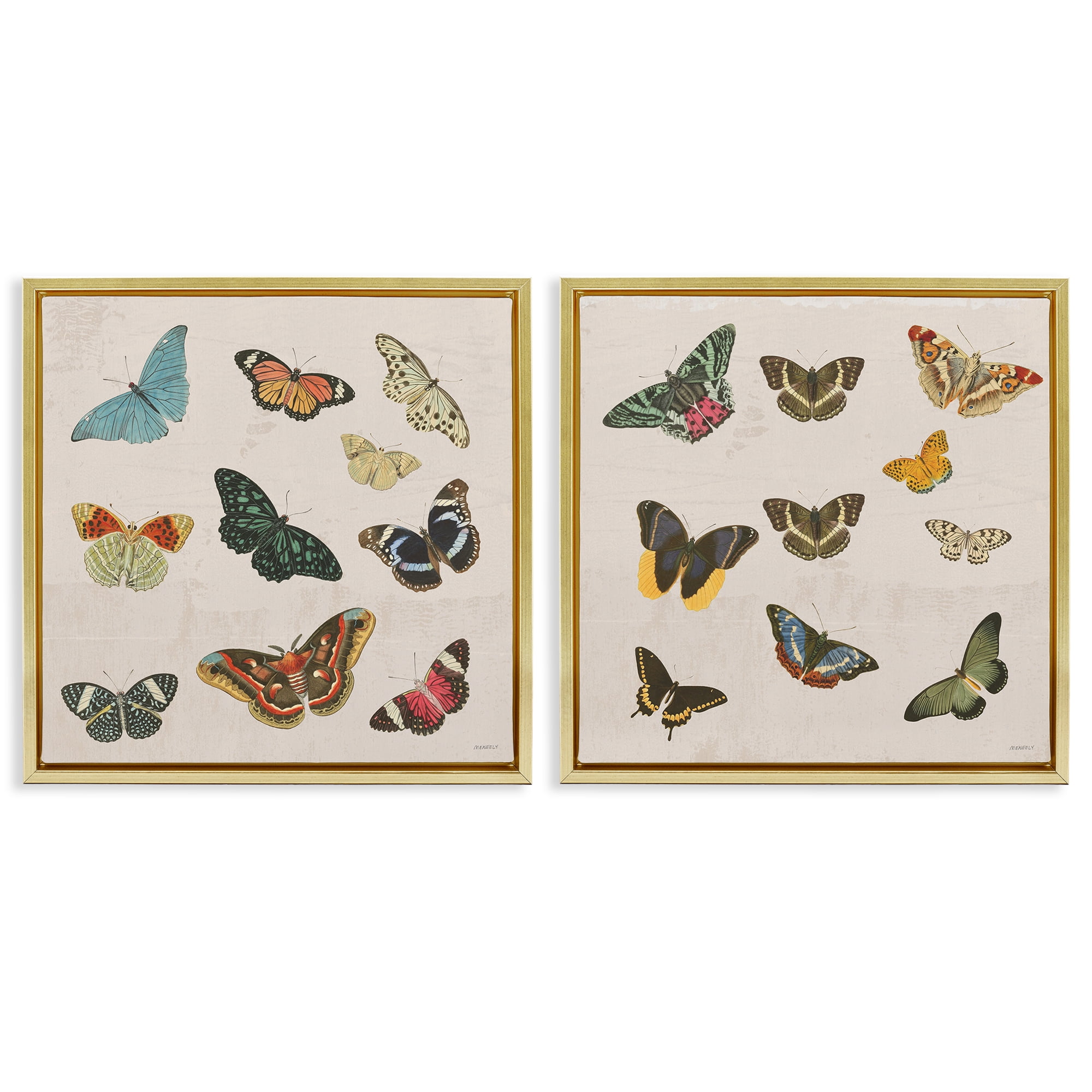 Stupell Industries Collection of Vintage Butterflies 2 Piece Gold Framed Floater Canvas Set, design by Dan Meneely
