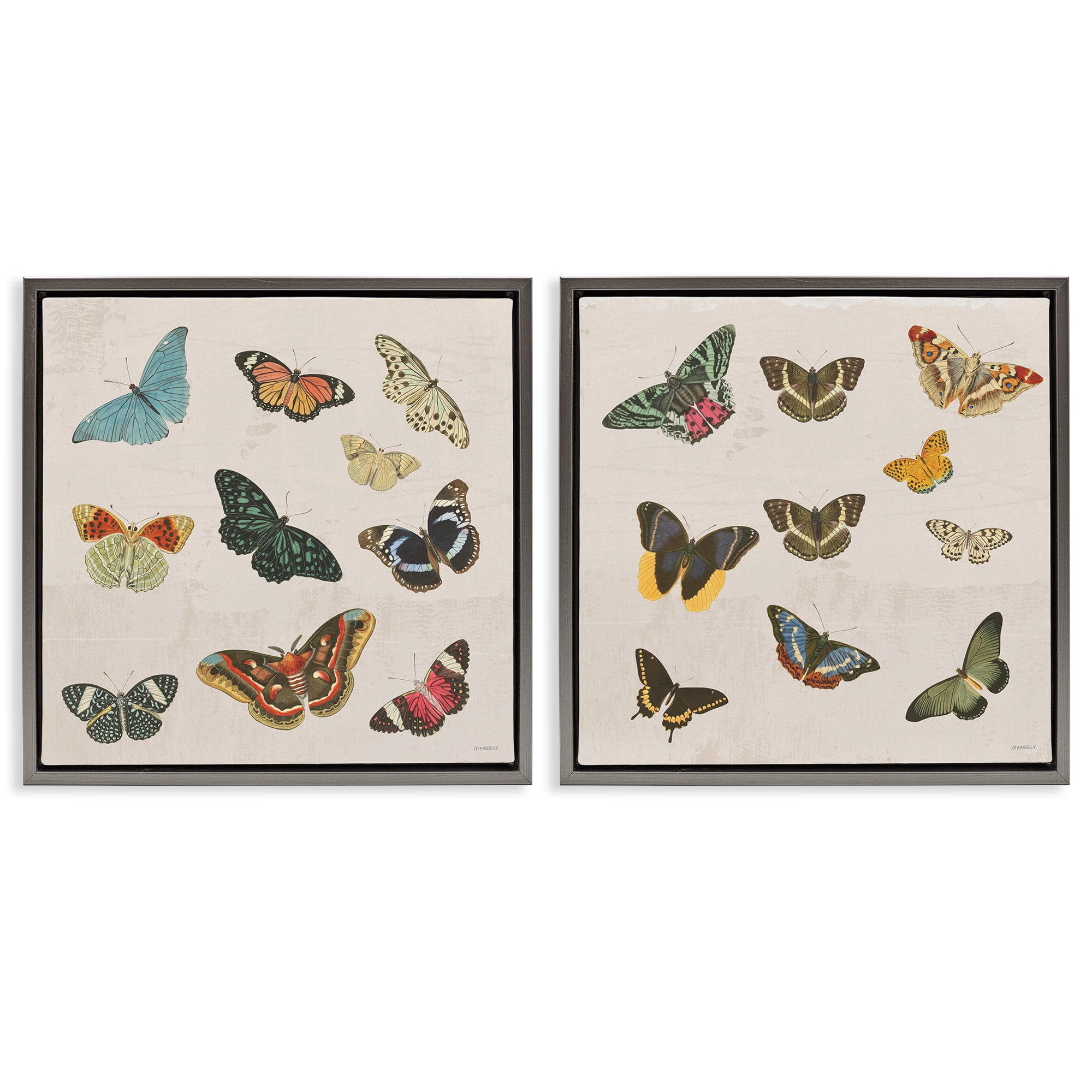Stupell Industries Collection of Vintage Butterflies 2 Piece Gray Framed Floater Canvas Set, design by Dan Meneely