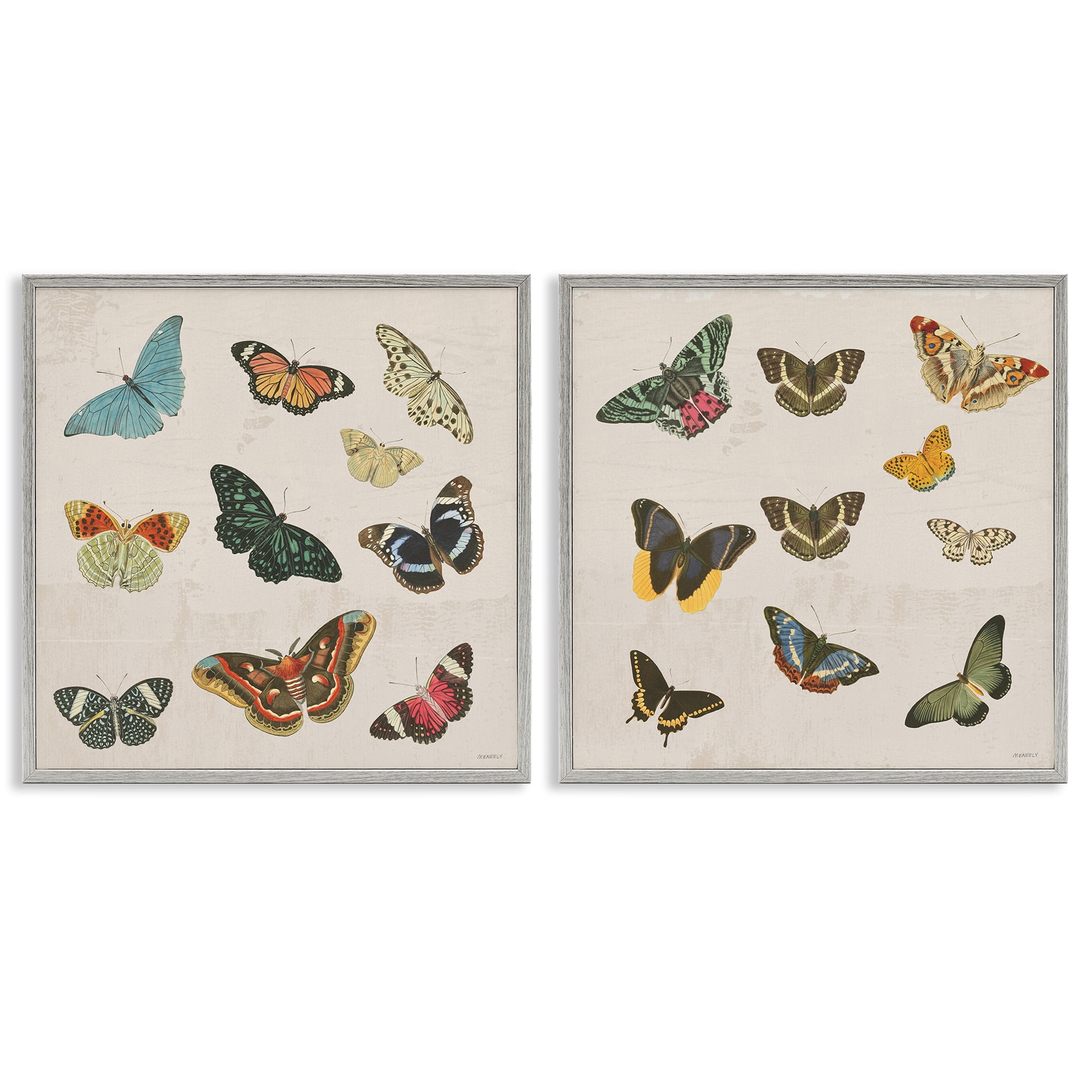Stupell Industries Collection of Vintage Butterflies 2 Piece Gray Framed Giclee Art Set, design by Dan Meneely