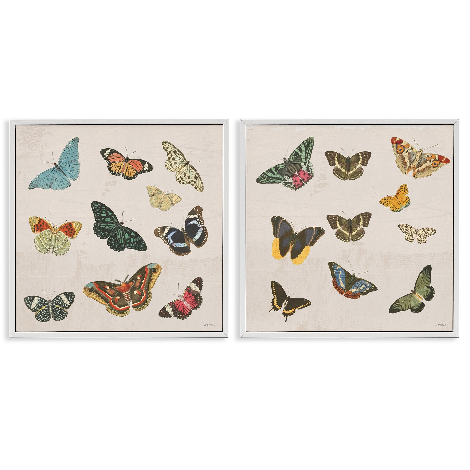 Stupell Industries Collection of Vintage Butterflies 2 Piece White Framed Giclee Art Set, design by Dan Meneely