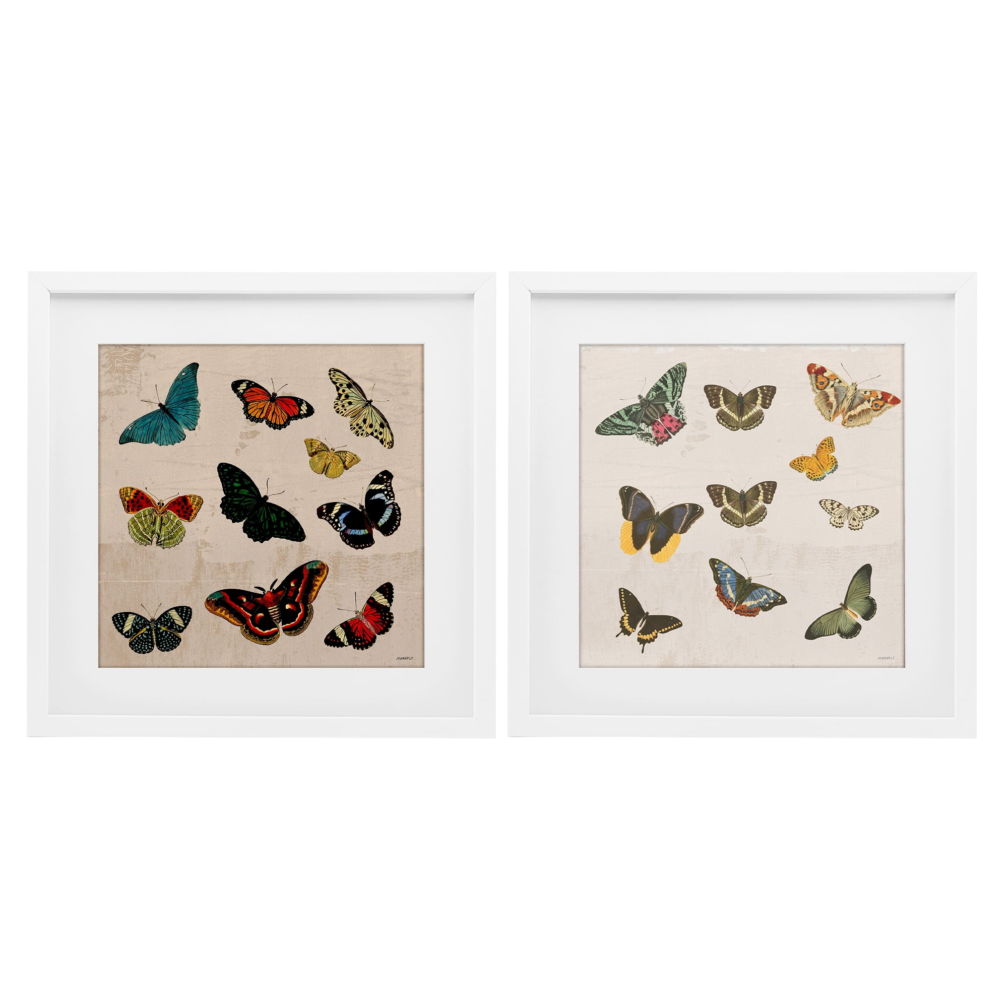 Stupell Industries Collection of Vintage Butterflies 2 Piece White Framed Print Under Glass Set, design by Dan Meneely