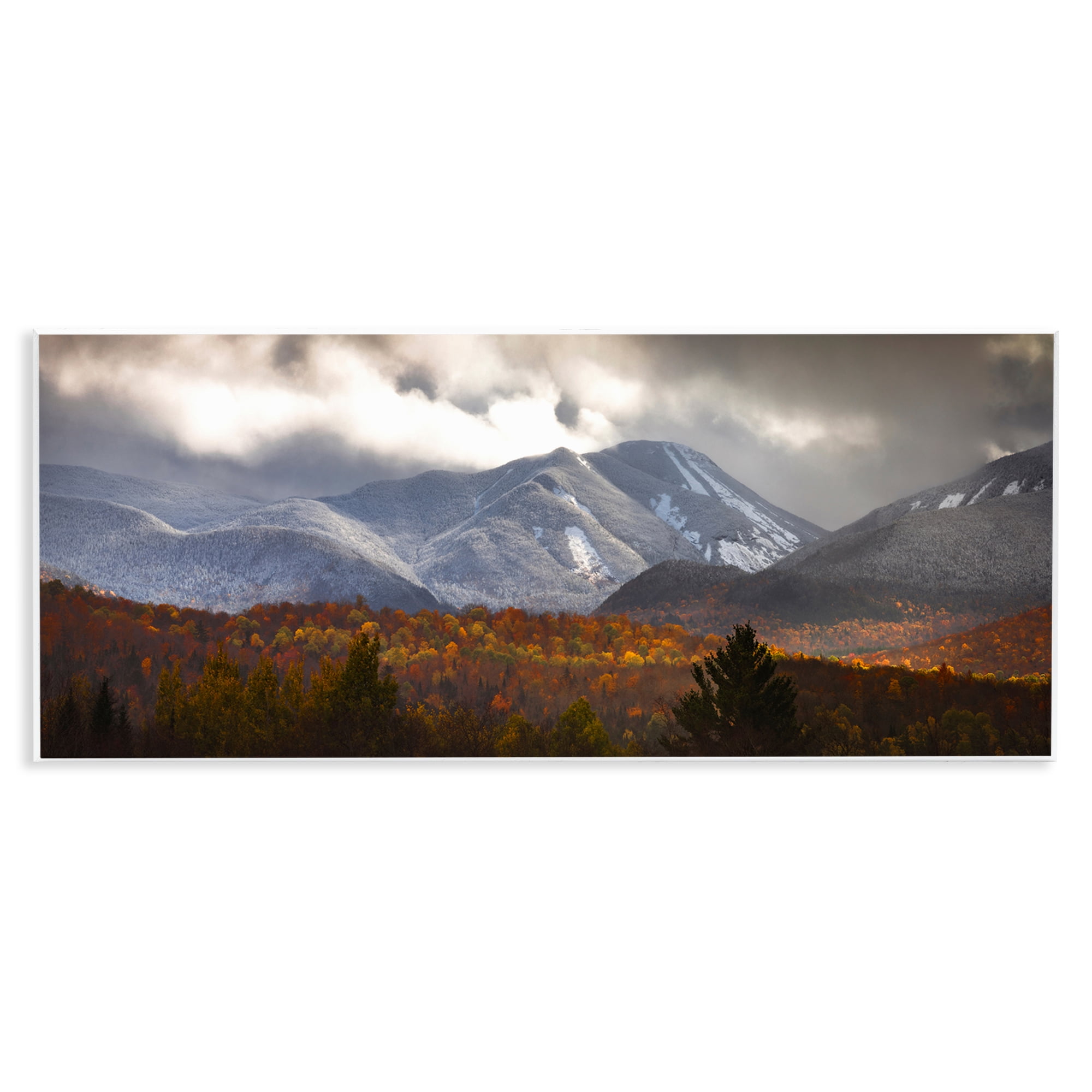 Stupell Industries Colliding Seasons Mountainscape Wall Plaque Art, design by Jonathan Zaharek