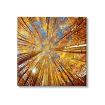 Stupell Industries Colorado Autumn Trees Nature Photography Gallery Wrapped Canvas Print Wall Art, 17 x 17