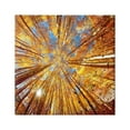 thumbnail image 1 of Stupell Industries Colorado Autumn Trees Nature Photography Gallery Wrapped Canvas Print Wall Art, 36 x 36, 1 of 7