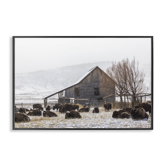 Stupell Industries Colorado Buffalo Snowy Farm Black Framed Giclee Art, design by Jeff Poe Photography