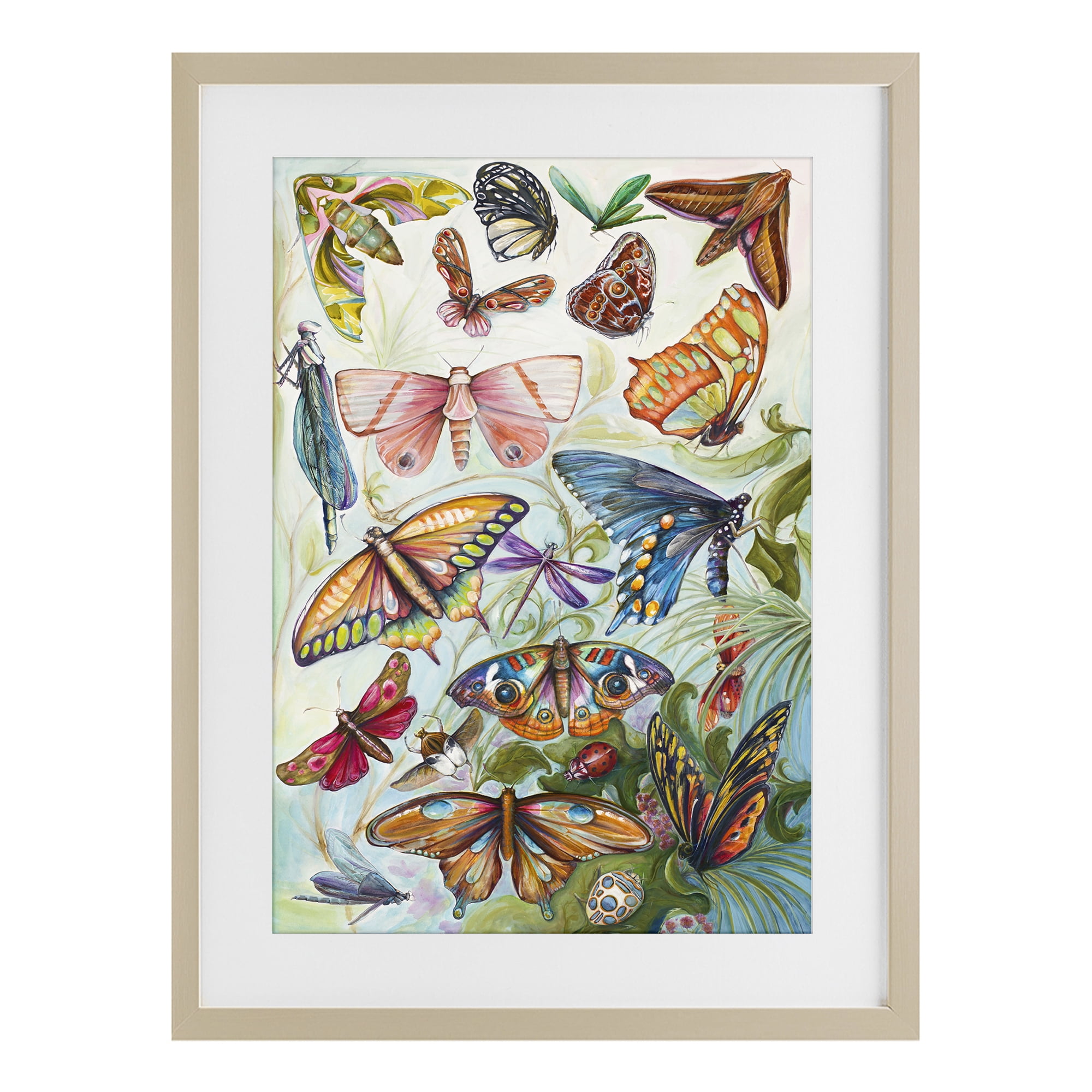 Stupell Industries Colorful Butterfly Conservatory Birch Framed Print Under Glass, design by Diannart