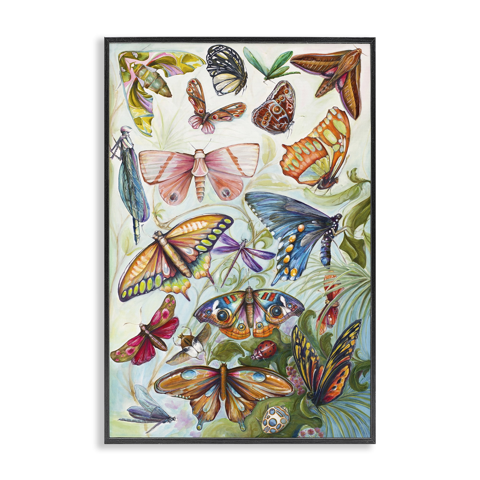 Stupell Industries Colorful Butterfly Conservatory Black Framed Giclee Art, design by Diannart