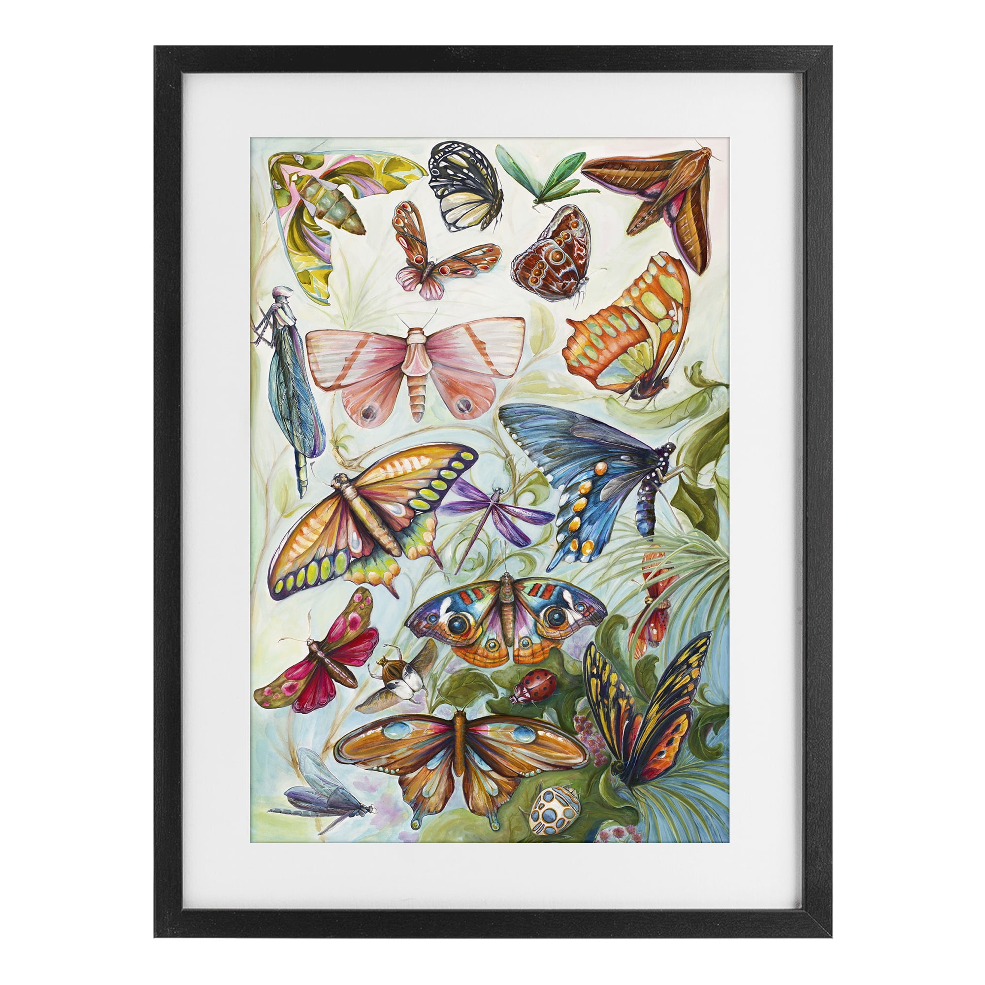 Stupell Industries Colorful Butterfly Conservatory Black Framed Print Under Glass, design by Diannart
