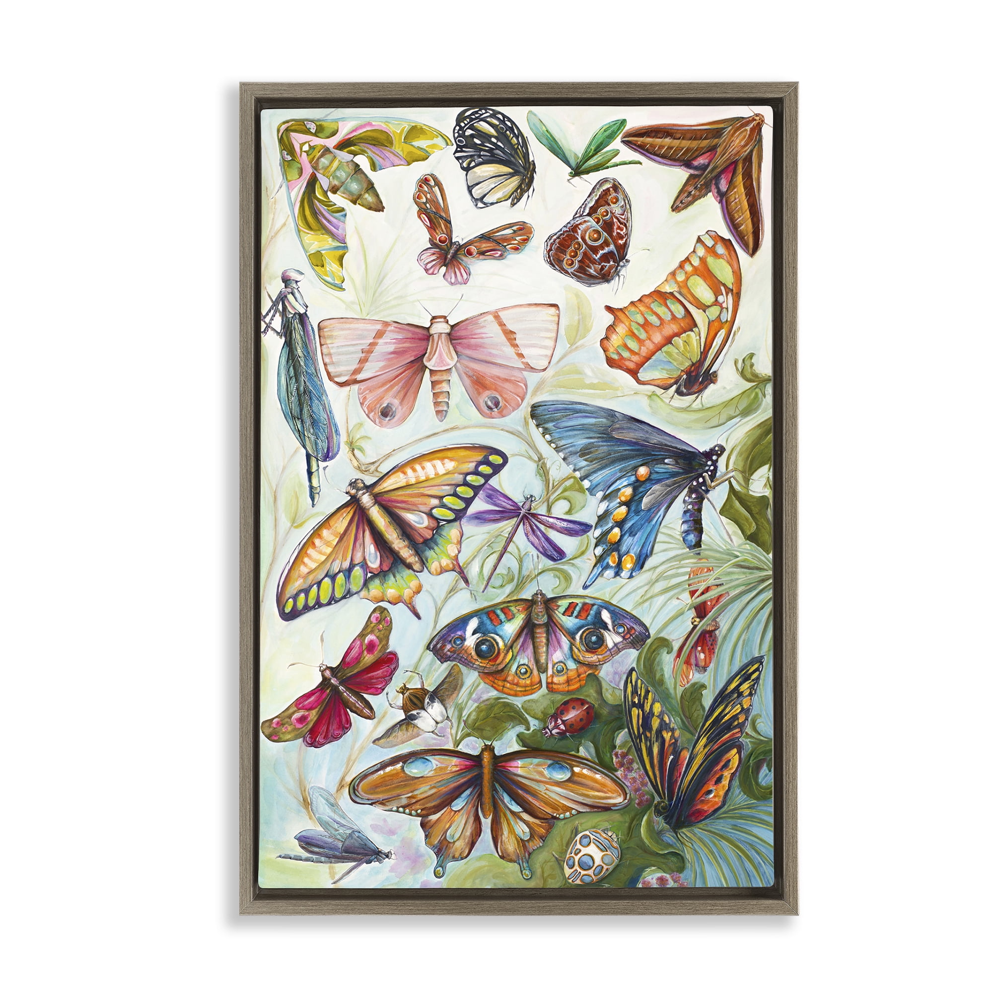 Stupell Industries Colorful Butterfly Conservatory Brown Framed Floater Canvas Wall Art, design by Diannart