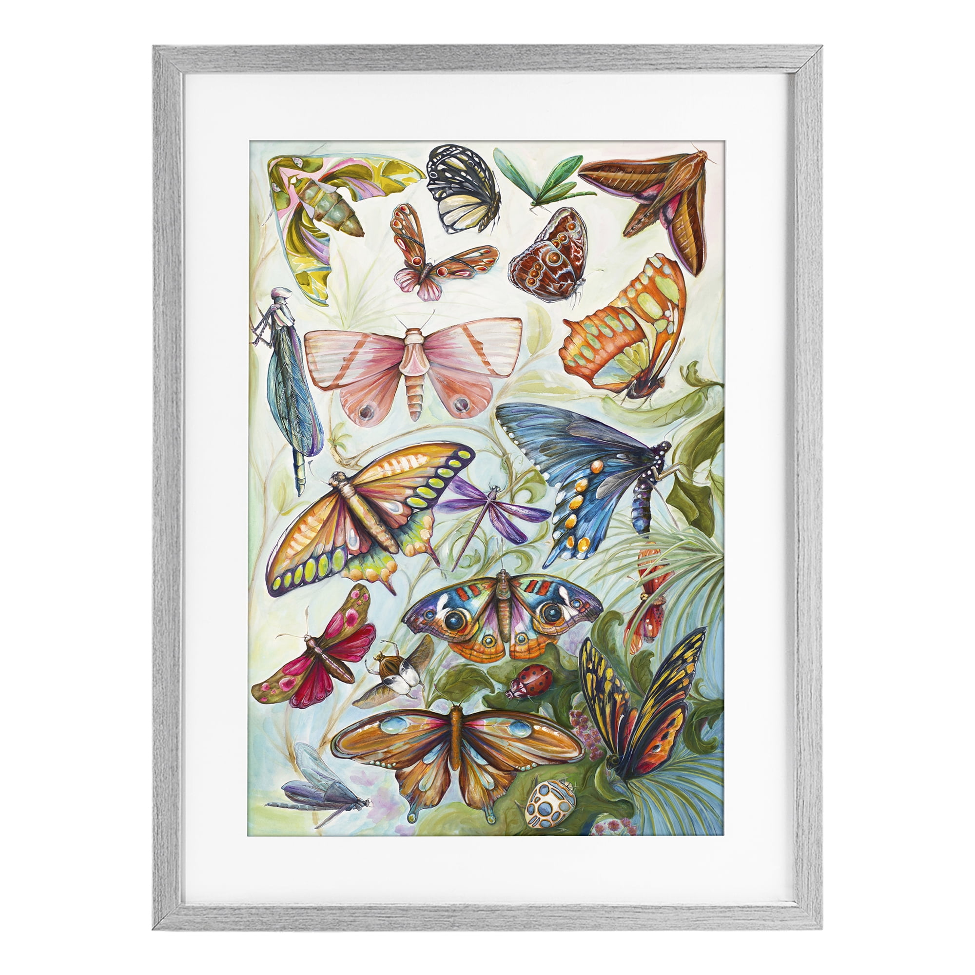 Stupell Industries Colorful Butterfly Conservatory Gray Framed Print Under Glass, design by Diannart