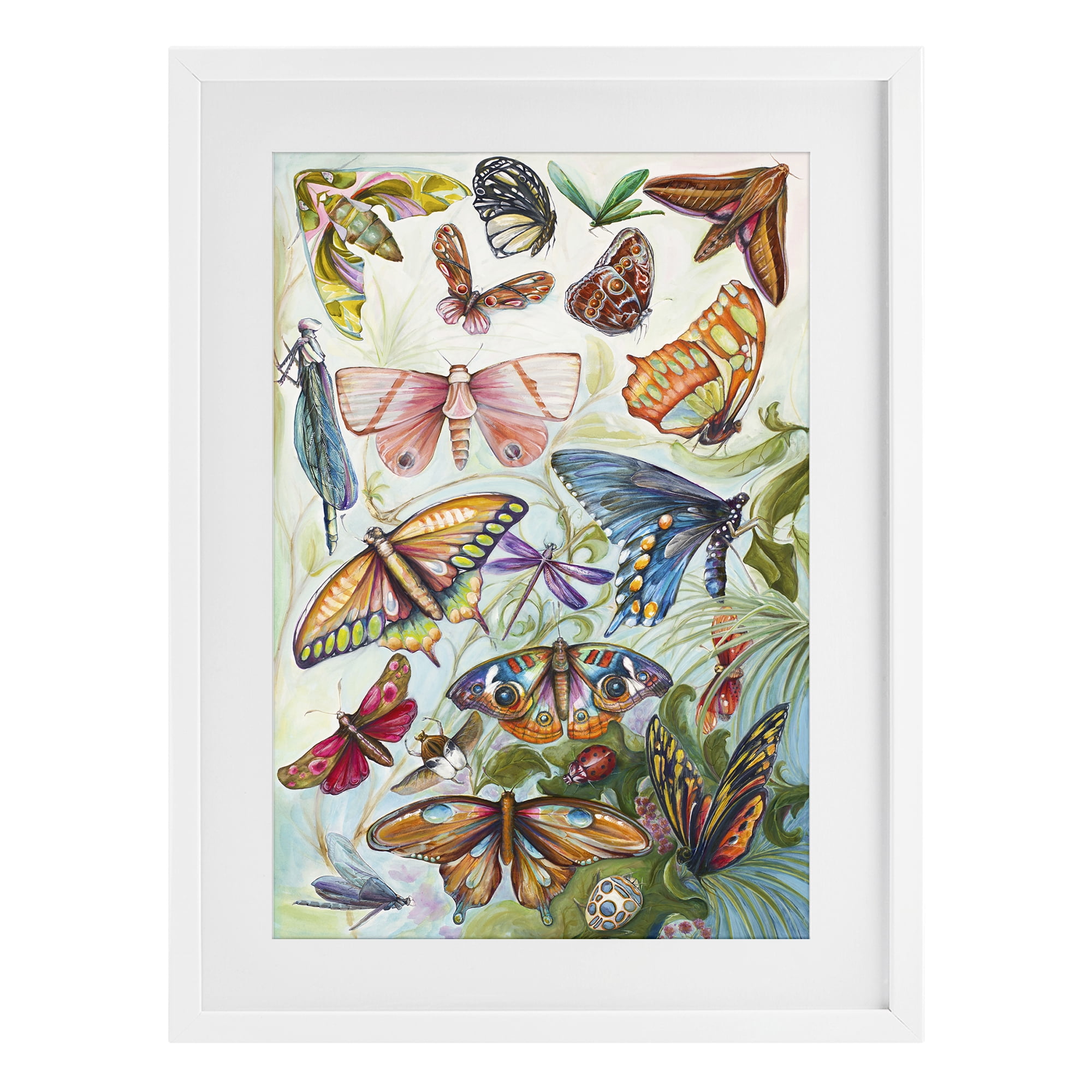 Stupell Industries Colorful Butterfly Conservatory White Framed Print Under Glass, design by Diannart