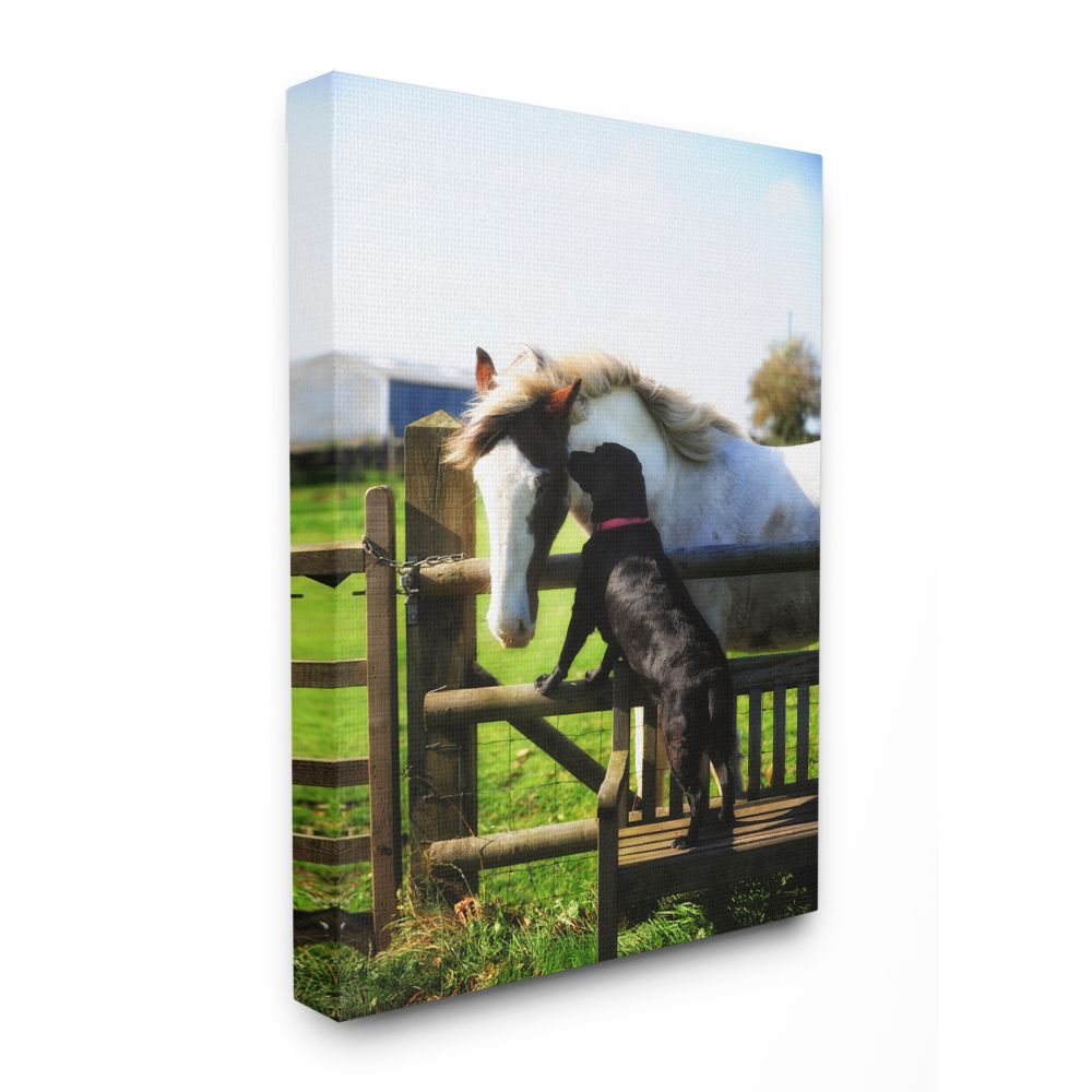 Stupell Industries Colorful Farm Horse and Dog Animal Photo Canvas Wall Art by Villager Jim
