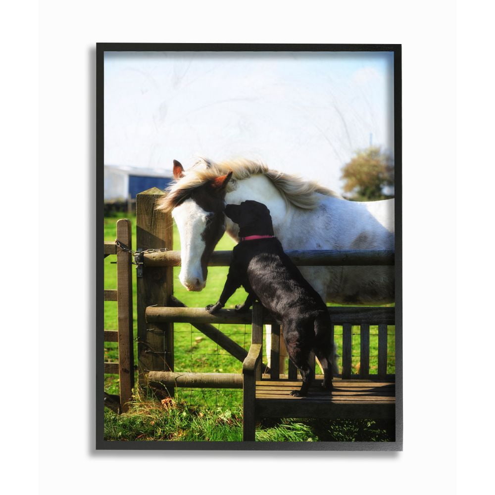 Stupell Industries Colorful Farm Horse and Dog Animal Photo Framed Giclee Texturized Art by Villager Jim