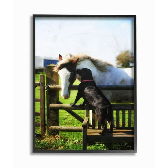 Stupell Industries Colorful Farm Horse and Dog Animal Photo Framed Giclee Texturized Art by Villager Jim