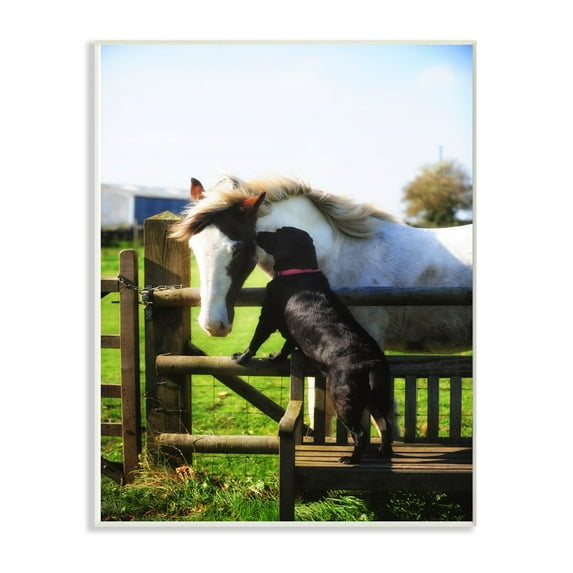 Stupell Industries Colorful Farm Horse and Dog Animal Photo Wall Plaque Art by Villager Jim
