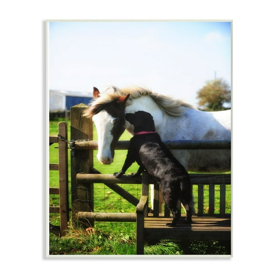 Stupell Industries Colorful Farm Horse and Dog Animal Photo Wall Plaque Art by Villager Jim