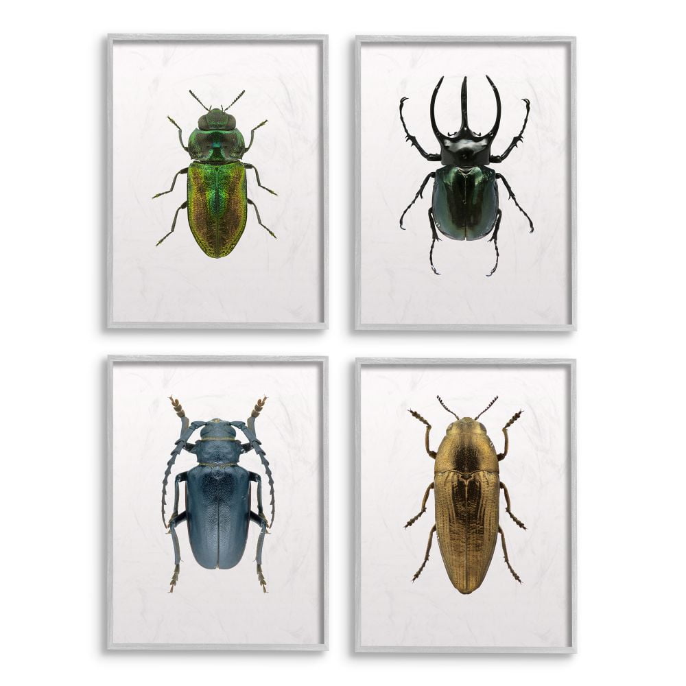 Stupell Industries Colorful Insect Collection Photographs Graphic Art Gray Framed Art Print Wall Art Set of 4, 16x20, by Design Fabrikken