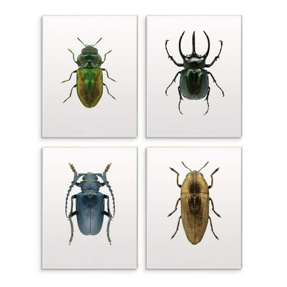 Stupell Industries Colorful Insect Collection Photographs Wall Plaque by Design Fabrikken