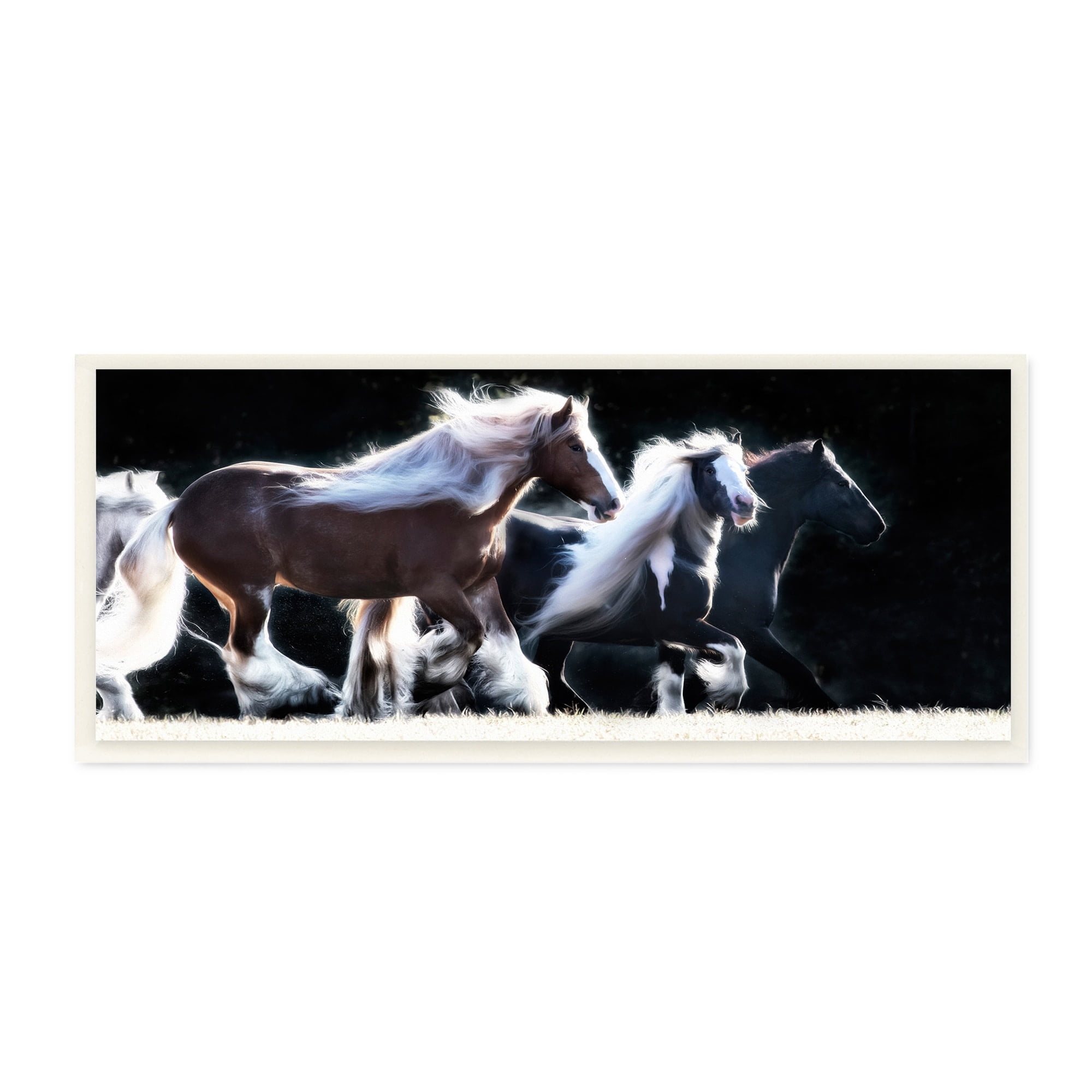 Stupell Industries Colt Horse Stampede Country Field Modern Equestrian Photography, 17 x 7,Design by PHBurchett