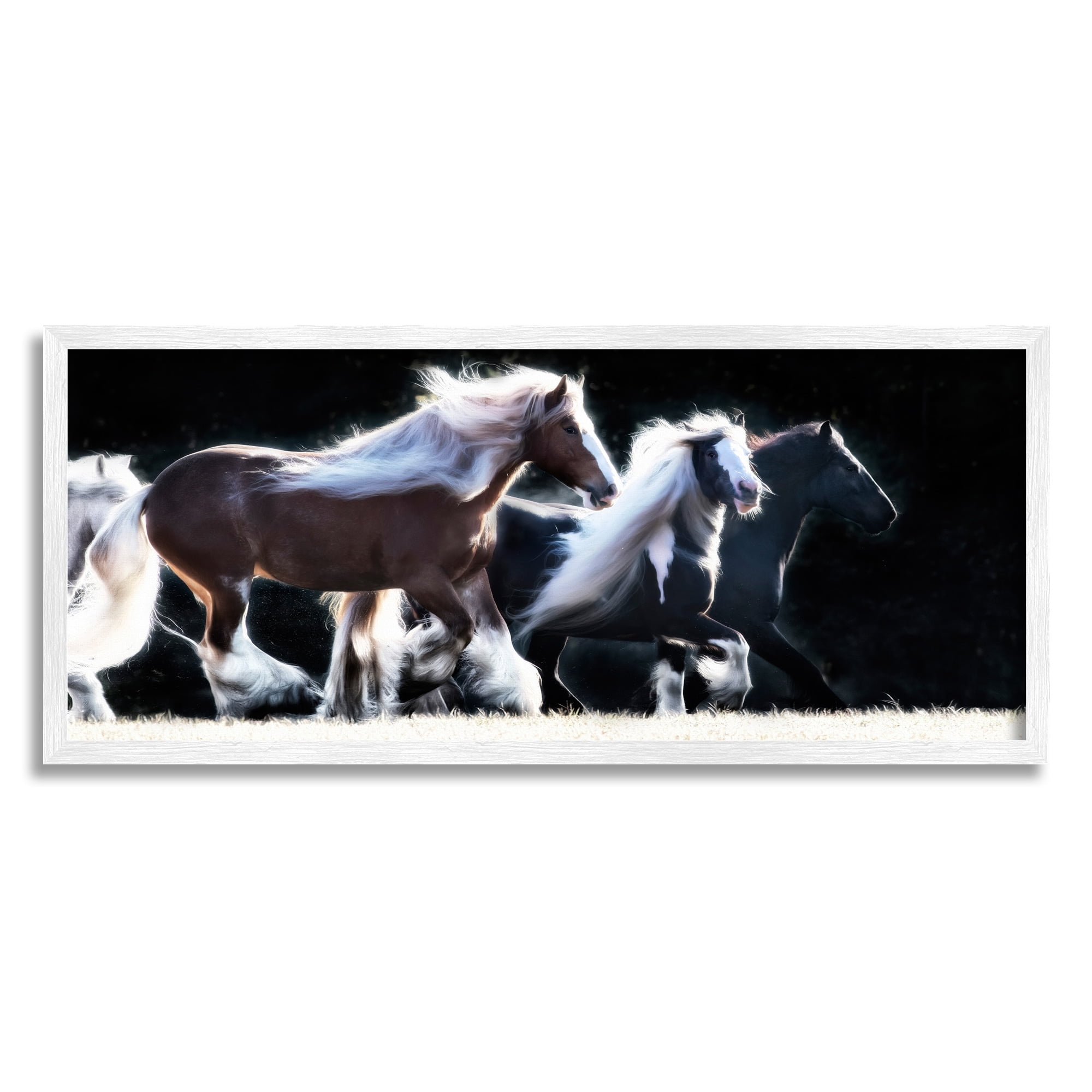 Stupell Industries Colt Horse Stampede Country Field Modern Equestrian Photography, 24 x 10,Design by PHBurchett