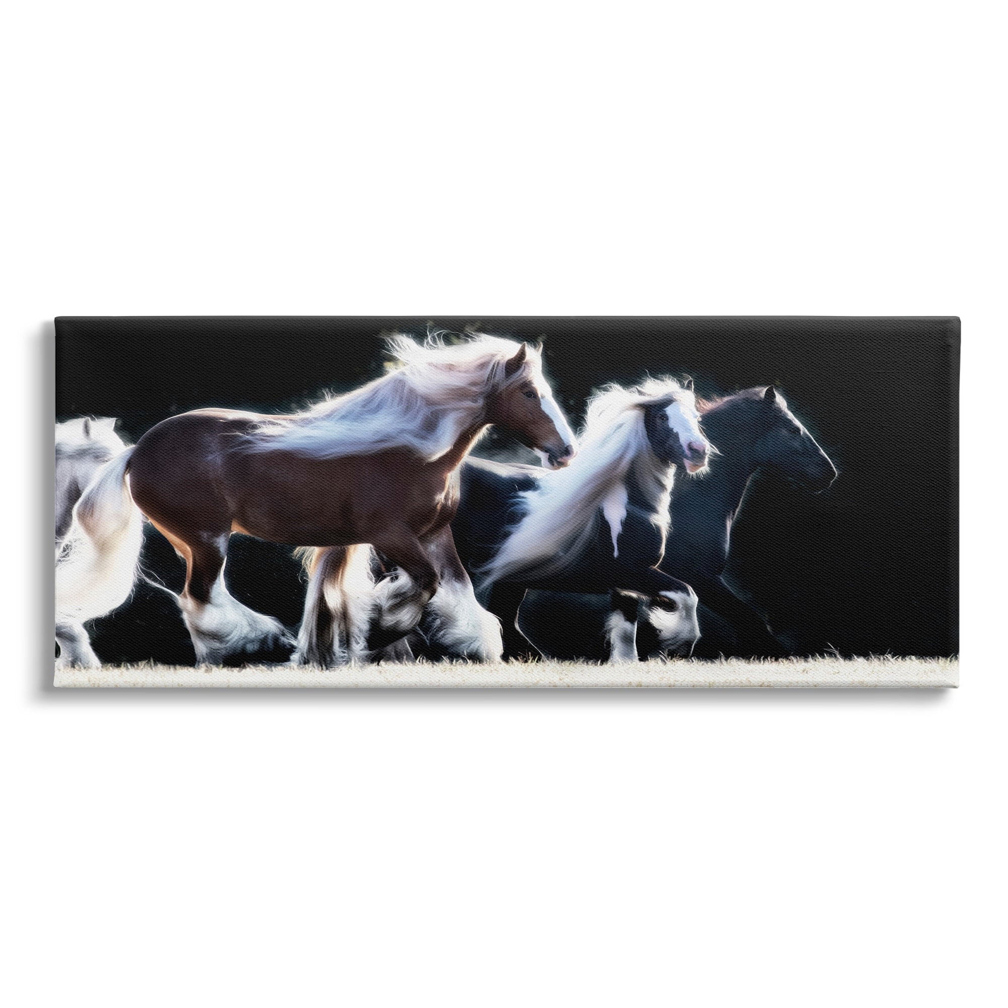 Stupell Industries Colt Horse Stampede Country Field Modern Equestrian Photography, 24 x 10,Design by PHBurchett