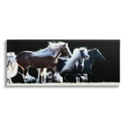 Stupell Industries Colt Horse Stampede Country Field Modern Equestrian Photography, 48 x 20,Design by PHBurchett