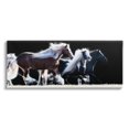 thumbnail image 1 of Stupell Industries Colt Horse Stampede Country Field Modern Equestrian Photography, 48 x 20,Design by PHBurchett, 1 of 5
