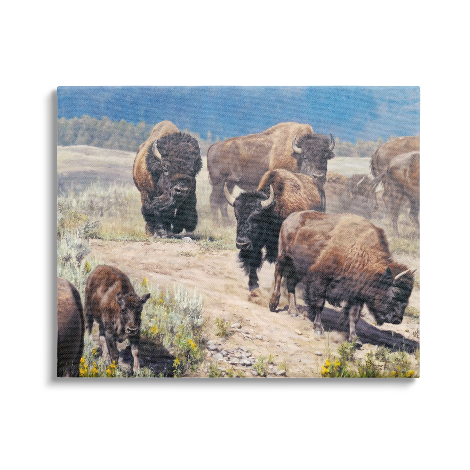 Large Brown Bison Herd Canvas Wall Art