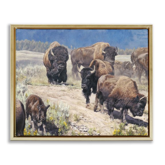 Stupell Industries Farmhouse Commander In Chief Bison Herd Gold Floating Frame Canvas Art, 31 x 25, by David Graham