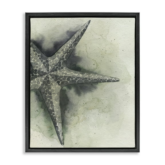 Stupell Industries Complex Grey Starfish Animals & Insects Painting Black Floater Framed Canvas Art Print Wall Art, 17 x 21