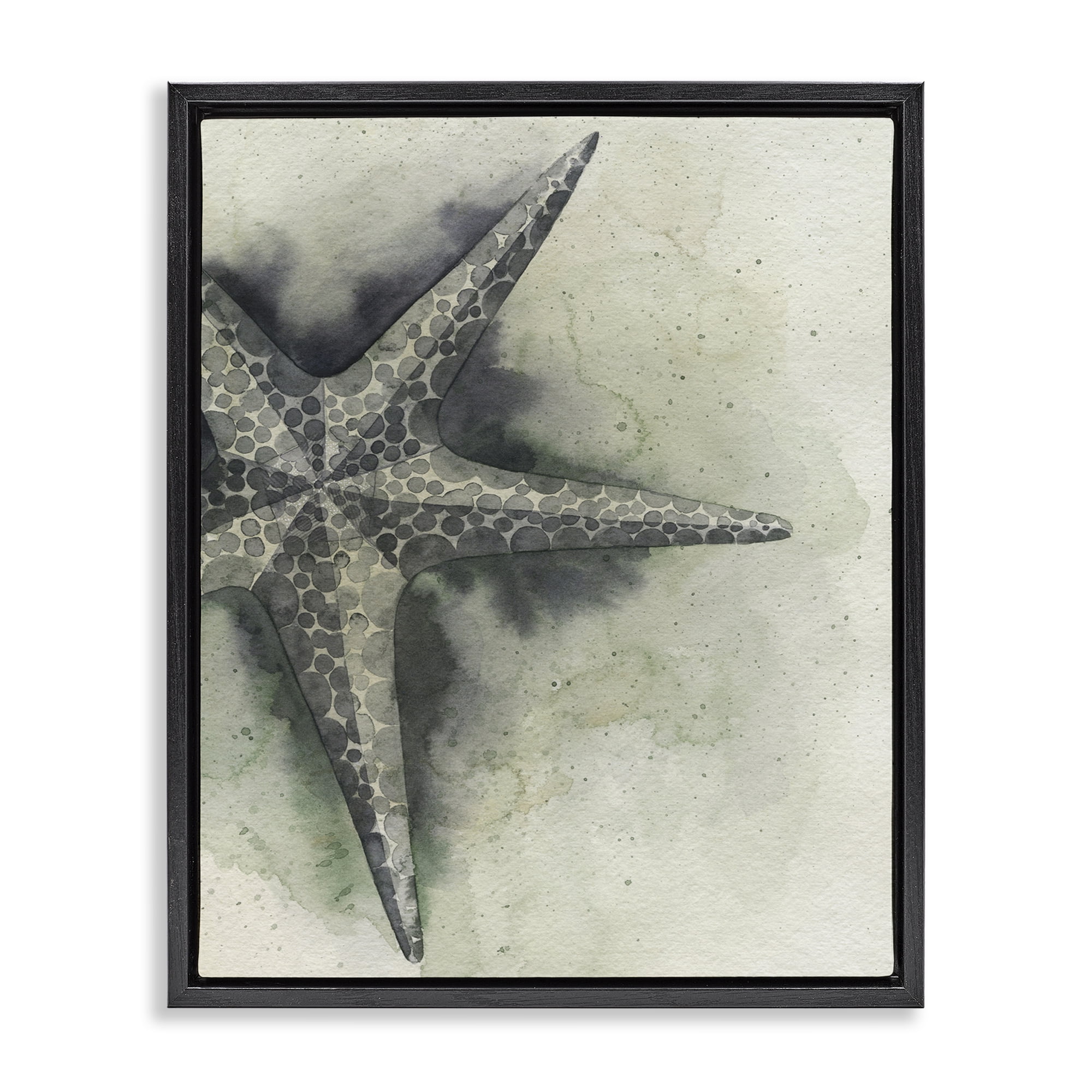 Stupell Industries Complex Grey Starfish Animals & Insects Painting Black Floater Framed Canvas Art Print Wall Art, 25 x 31