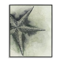Stupell Industries Complex Grey Starfish Animals & Insects Painting Black Framed Art Print Wall Art, 11 x 14