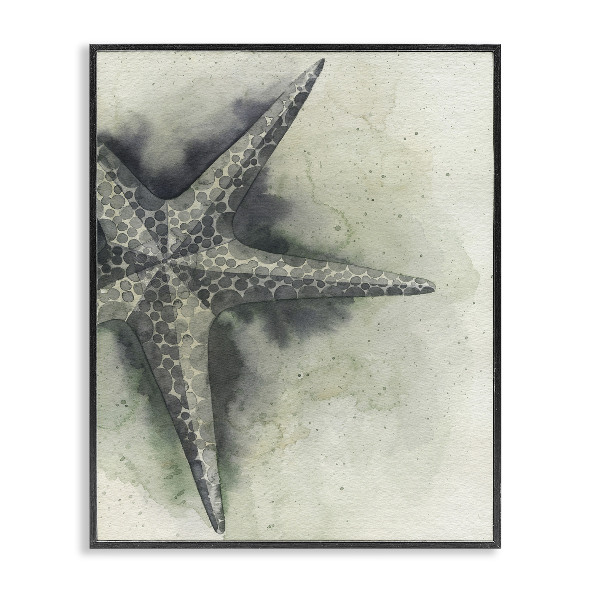 Stupell Industries Complex Grey Starfish Animals & Insects Painting Black Framed Art Print Wall Art, 16 x 20