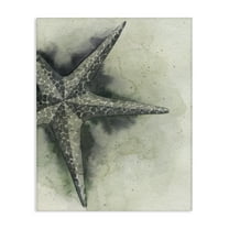 Stupell Industries Complex Grey Starfish Animals & Insects Painting Gallery Wrapped Canvas Art Print Wall Art, 16 x 20