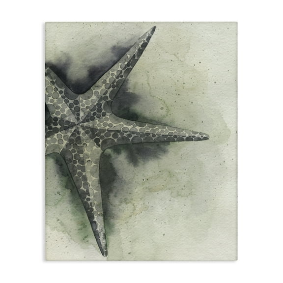 Stupell Industries Complex Grey Starfish Animals & Insects Painting Gallery Wrapped Canvas Art Print Wall Art, 16 x 20