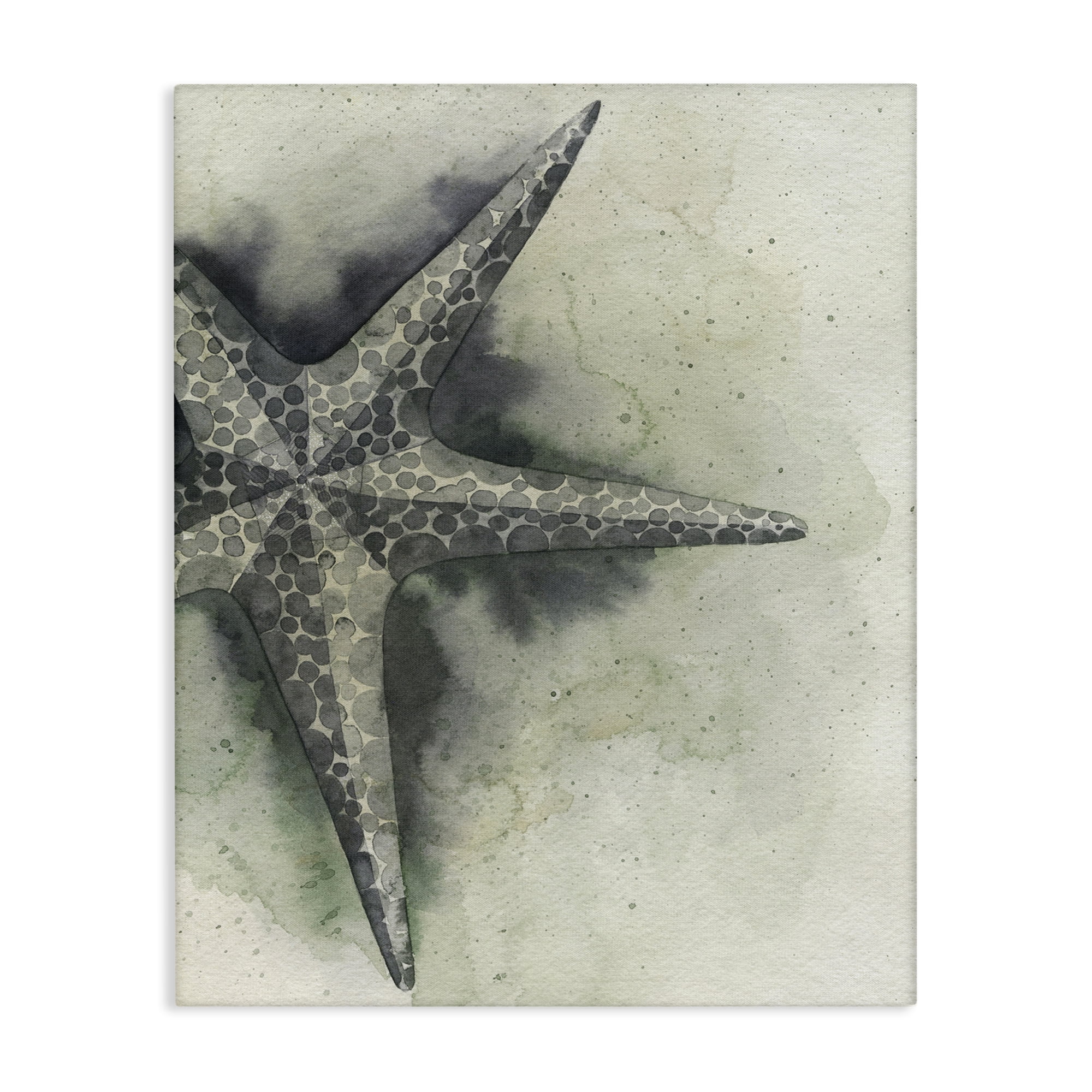 Stupell Industries Complex Grey Starfish Animals & Insects Painting Gallery Wrapped Canvas Art Print Wall Art, 24 x 30