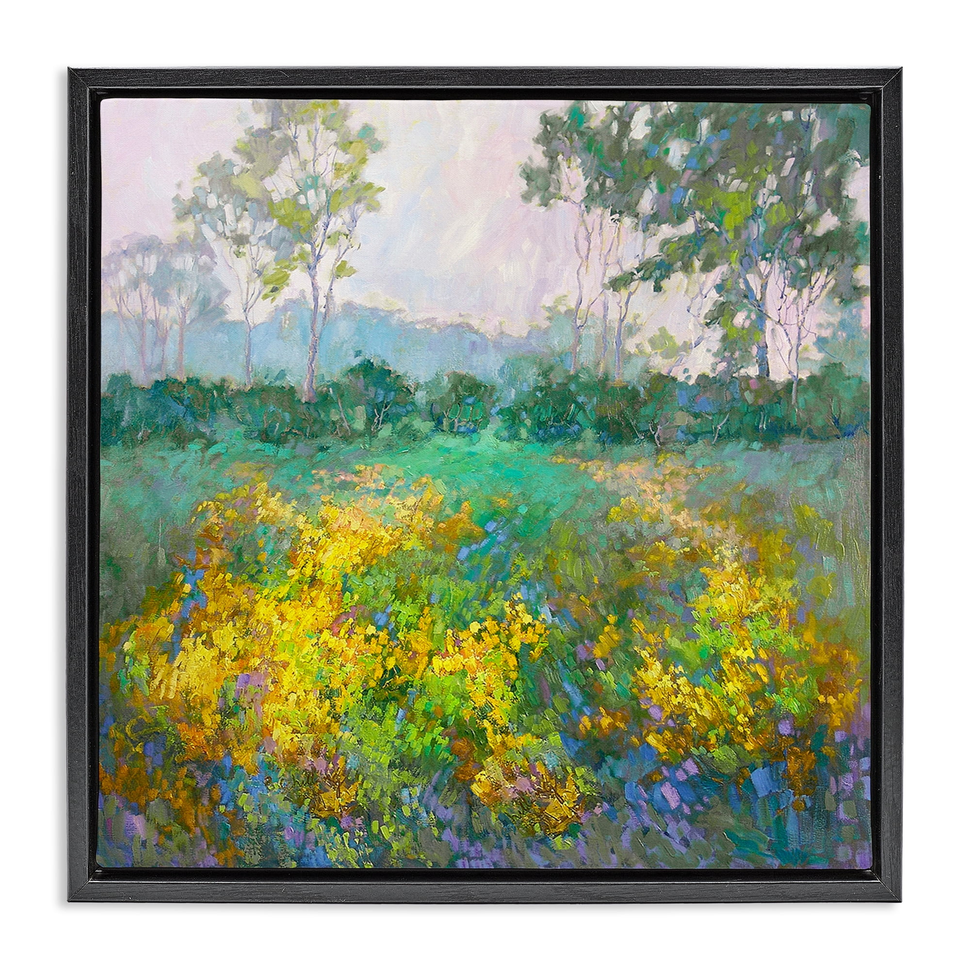 Stupell Industries Complex Meadow Terrain Landscape & Nature Painting Black Floater Framed Canvas Art Print Wall Art, 25 x 25