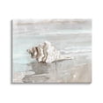 thumbnail image 1 of Stupell Industries Conch Resting on Quiet Shore Animal Sea Life,40 x 30, Design by Sally Swatland, 1 of 5