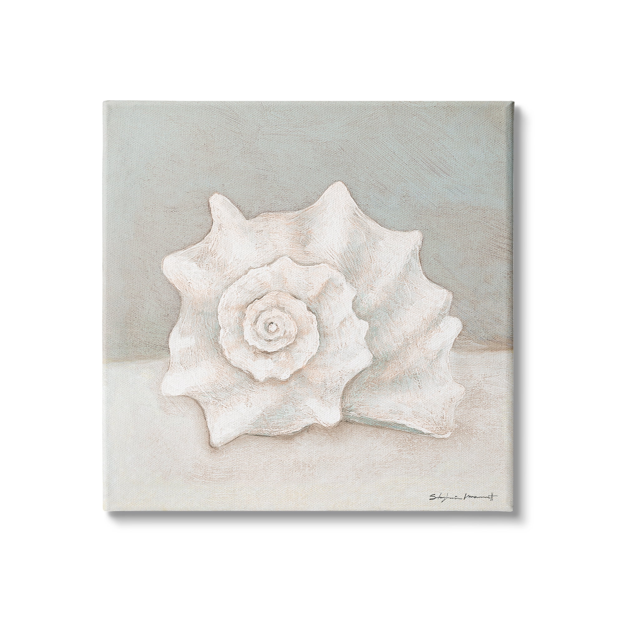 Stupell Industries Conch Shell Minimal Beige Grey Seashell Nautical Animal, 36 x 36, Design by Stephanie Workman Marrott