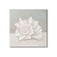 thumbnail image 1 of Stupell Industries Conch Shell Minimal Beige Grey Seashell Nautical Animal, 36 x 36, Design by Stephanie Workman Marrott, 1 of 7