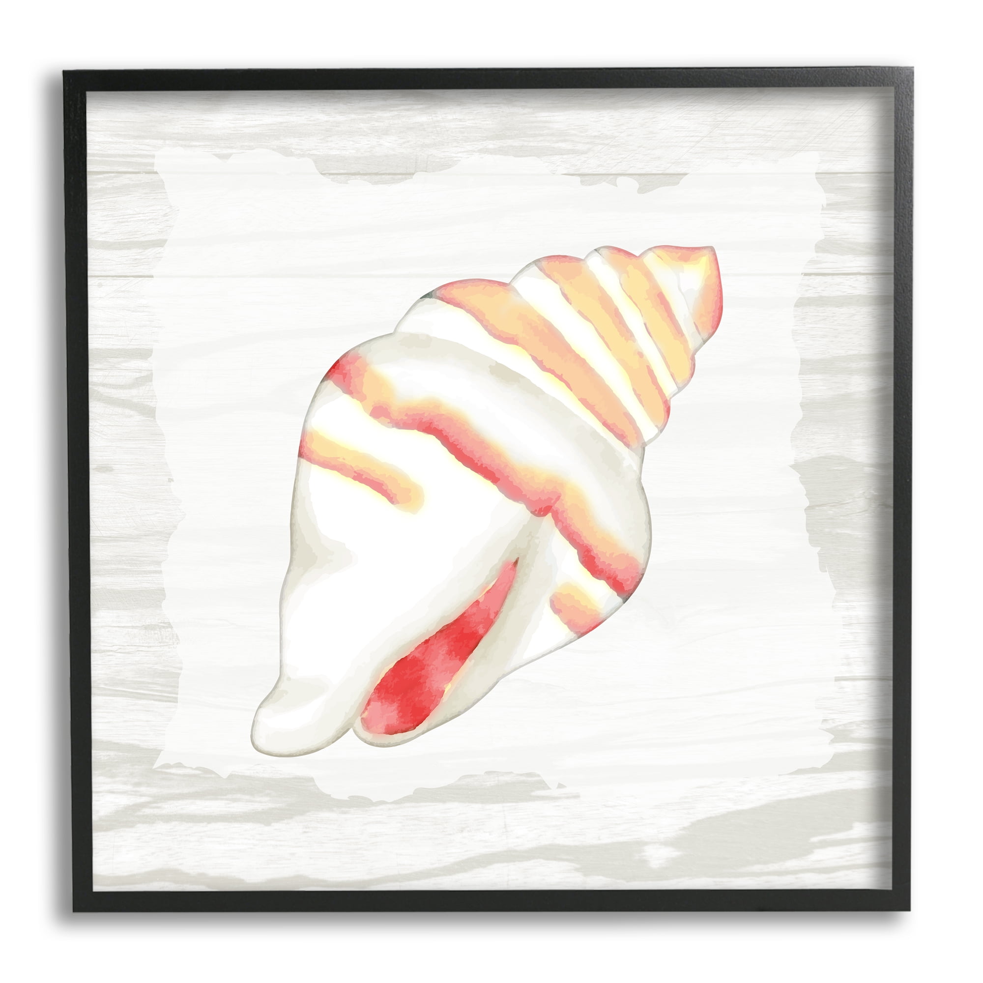 Stupell Industries Conch Shell Patterned Animals & Insects Painting Black Framed Art Print Wall Art, 24 x 24