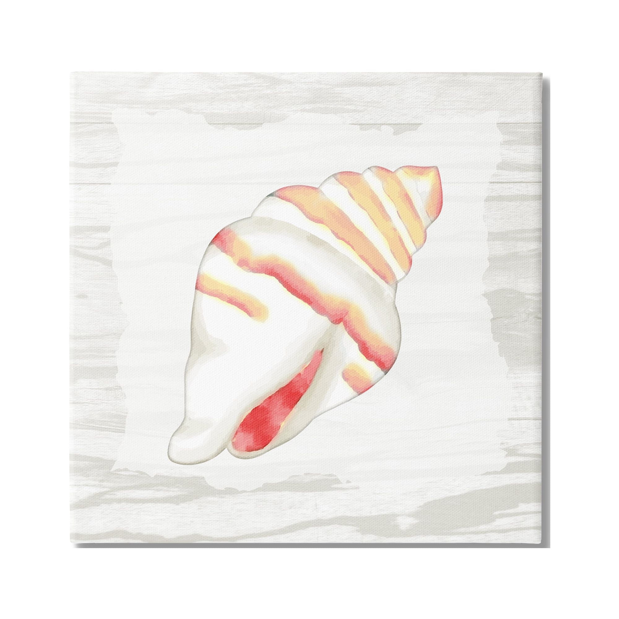 Stupell Industries Conch Shell Patterned Animals & Insects Painting Gallery Wrapped Canvas Print Wall Art, 24 x 24