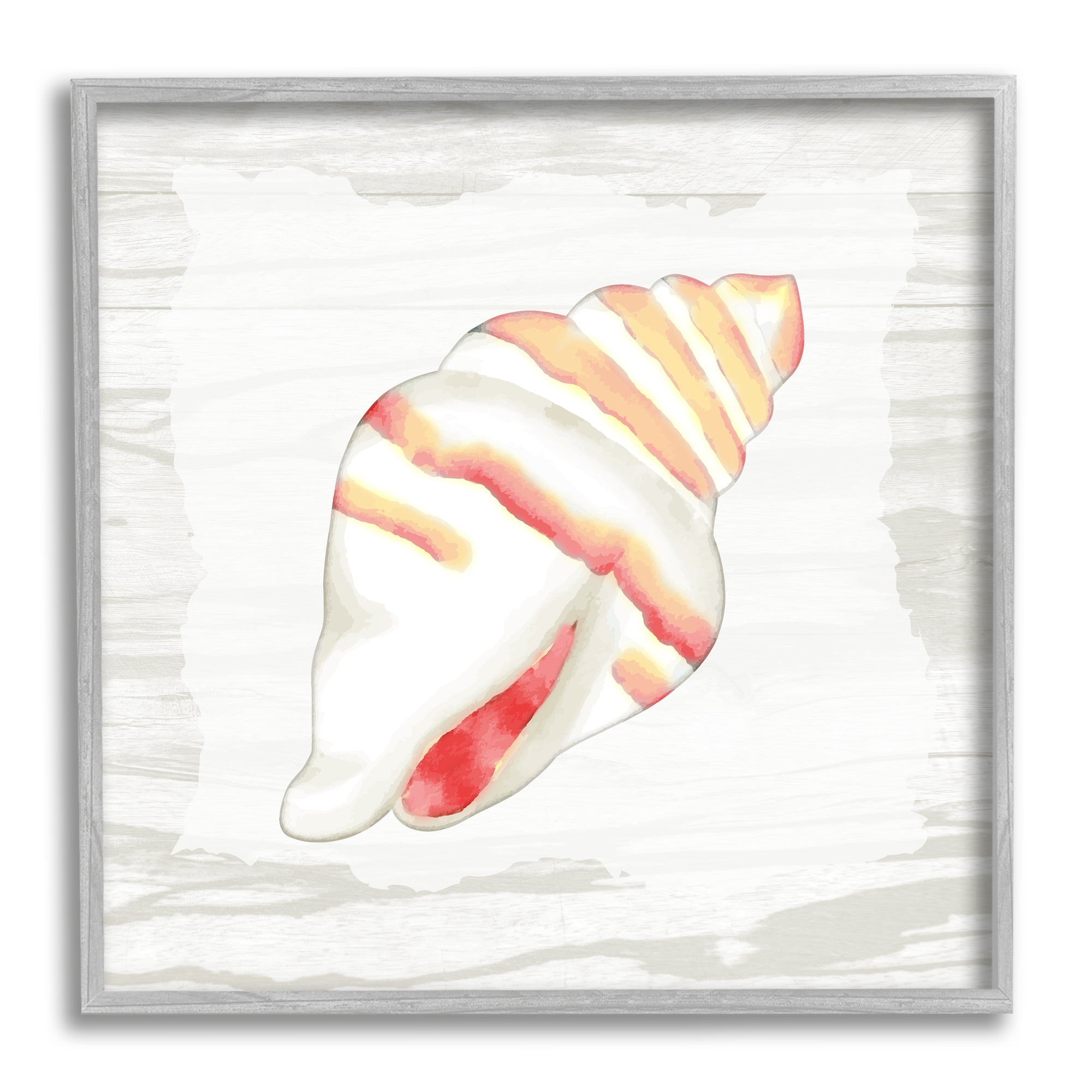 Stupell Industries Conch Shell Patterned Animals & Insects Painting Gray Framed Art Print Wall Art, 12 x 12