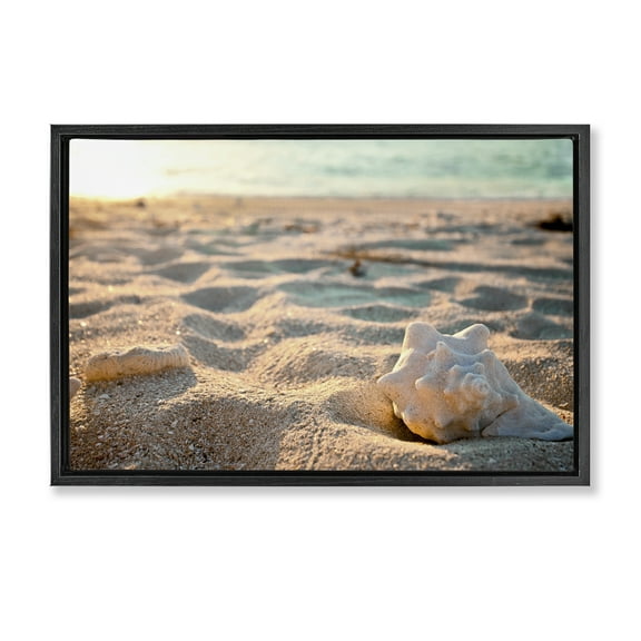 Stupell Industries Conch Shell in Sand Coastal Photography Black Floater Framed Canvas Art Print Wall Art, 25 x 17